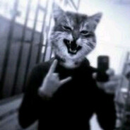 spytnik IMPERIA-GLUCK.RU