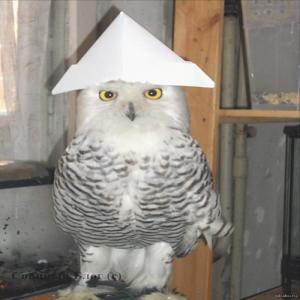 SOWE(Чубрик)